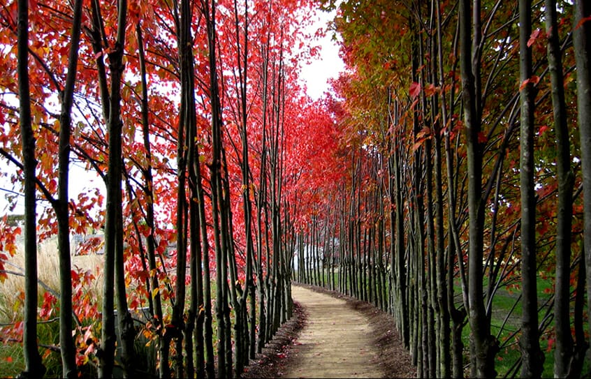 road