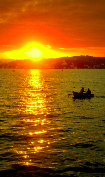 sunset
